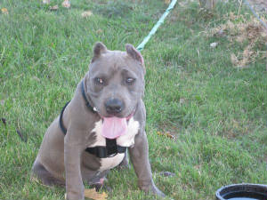 000chuy4months.jpg