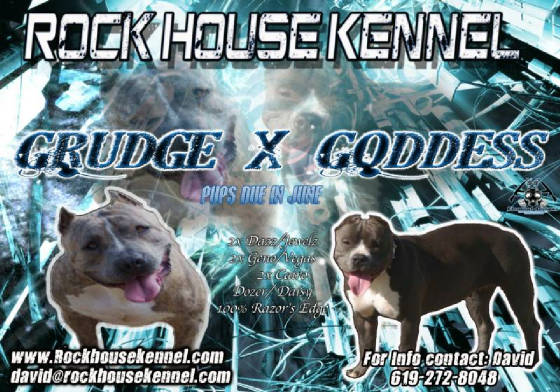 grudggossrockhousebreeding.jpg