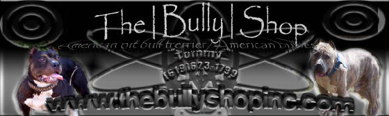 newbanner.jpg