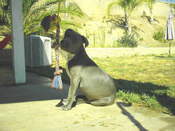 rua56.jpg