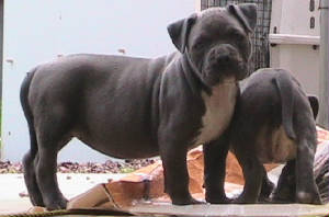 rua6weeks.jpg