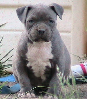 rua6weeks2.jpg