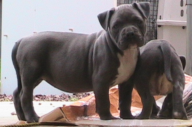 rua6weeks.jpg